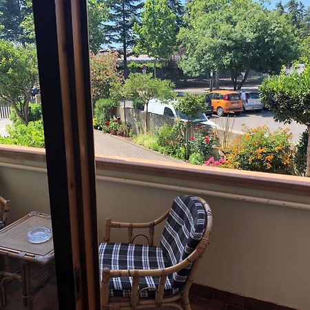Guest House Benvenuti - Casa Vacanze Toscana 체치나 외부 사진